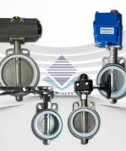 Van bướm inox