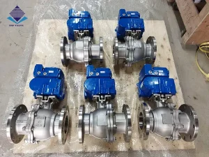 Van bi ren điều khiển điện inox