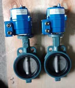 van-buom-dong-co-dien