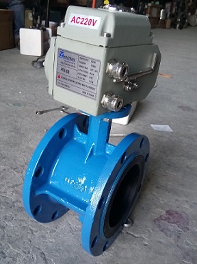 van-buom-hai-mat-bich-dieu-khien-dien