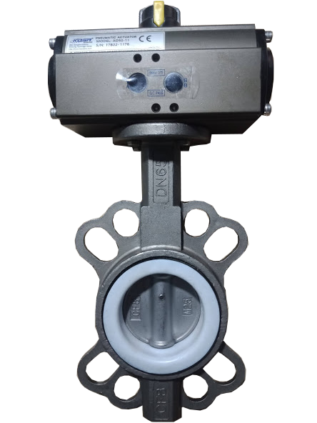 van-buom-inox-dieu-khien-bang-khi-nen-1