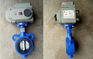 Van bướm điện Đài Loan