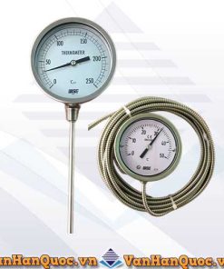 Hình ảnh đồng hồ nhiệt độ wise dạng chân đứng và dạng dây