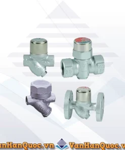 Hình ảnh bẫy hơi đồng tiền