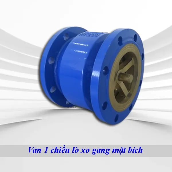 Van 1 chiều lò xo gang mặt bích