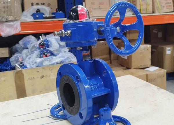 Van bướm tay quay hai mặt bích thân gang cánh inox Wonil Hàn Quốc tại THP Valve 2