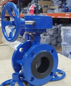 Van bướm tay quay hai mặt bích thân gang cánh inox Wonil Hàn Quốc tại THP Valve