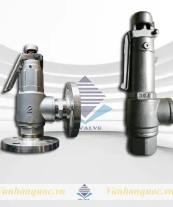 Van an toàn inox 304 lắp ren - mặt bích