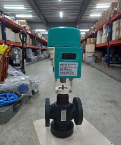 Van cầu hơi DN100